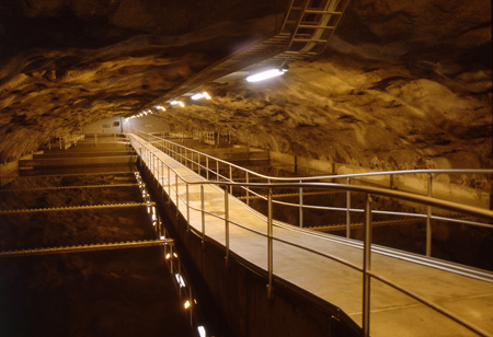 Viikin jätevedenpuhdistamo