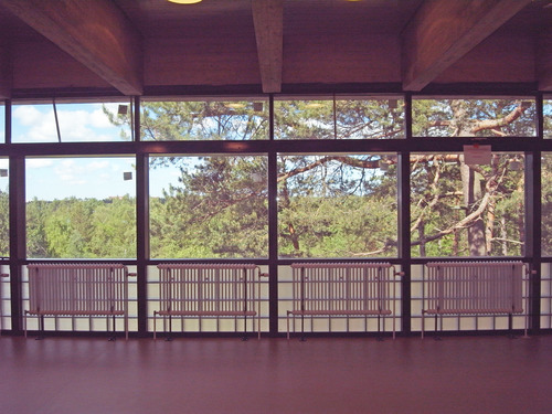 Roihuvuoren ala-aste