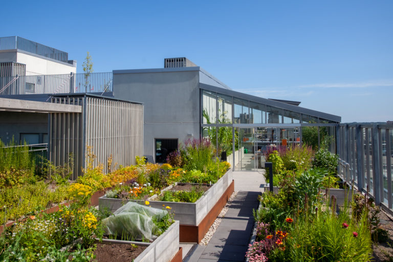 Open House Helsinki 2021: Vihreistä vihrein -asuinkortteli