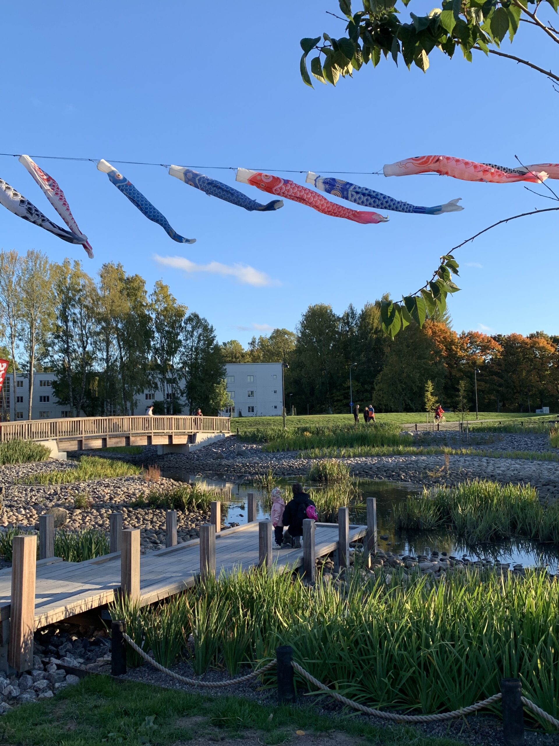 Kirsikkapuisto Open House Helsinki Kirsikkapuisto Open House Helsinki