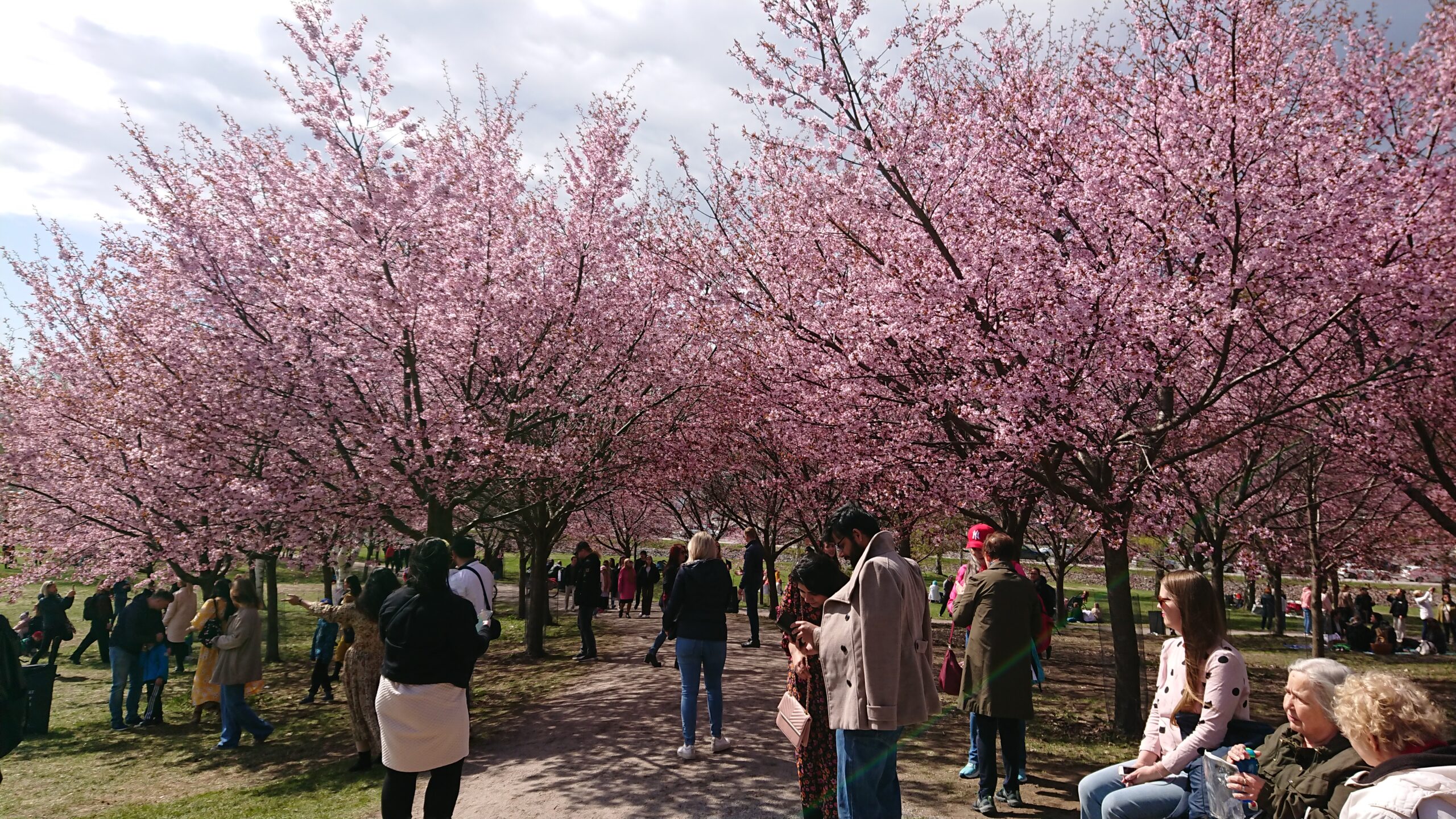 Kirsikkapuisto Open House Helsinki Kirsikkapuisto Open House Helsinki